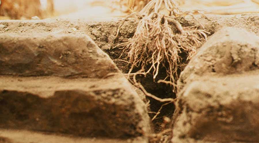 فشردگی خاک و راه های کاهش آن
